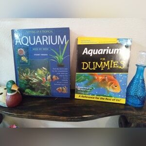 🐠 Aquarium Knowledge Here!🐡 For Dummies & 12week Tropical Tank Set Up Guide 🐟
